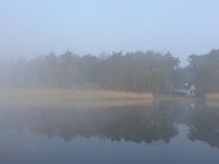 NL, Noord-Brabant, Valkenswaard, Visvijvers in Landgoed Valkenhorst 5, Saxifraga-Tom Heijnen