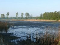 NL, Noord-Brabant, Valkenswaard, Visvijvers in Landgoed Valkenhorst 8, Saxifraga-Tom Heijnen