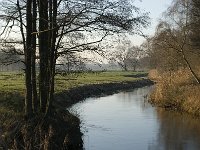 NL, Noord-Brabant, Veldhoven, De Hogt, Dommel 1, Saxifraga-Jan van der Straaten