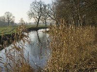 NL, Noord-Brabant, Veldhoven, De Hogt, Dommel 12, Saxifraga-Jan van der Straaten