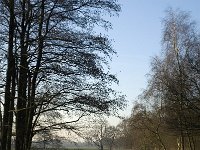 NL, Noord-Brabant, Veldhoven, De Hogt, Dommel 3, Saxifraga-Jan van der Straaten