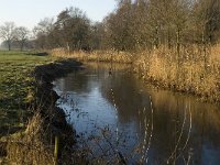 NL, Noord-Brabant, Veldhoven, De Hogt, Dommel 4, Saxifraga-Jan van der Straaten