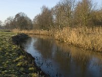 NL, Noord-Brabant, Veldhoven, De Hogt, Dommel 5, Saxifraga-Jan van der Straaten