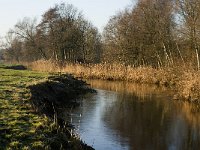 NL, Noord-Brabant, Veldhoven, De Hogt, Dommel 7, Saxifraga-Jan van der Straaten