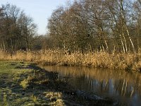 NL, Noord-Brabant, Veldhoven, De Hogt, Dommel 8, Saxifraga-Jan van der Straaten