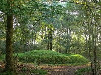 NL, Noord-Brabant, Veldhoven, Grafheuvels van Toterfout 1, Saxifraga-Tom Heijnen