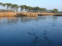 NL, Noord-Brabant, Veldhoven, Groot Vlasroot 4, Saxifraga-Tom Heijnen