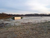 NL, Noord-Brabant, Waalre, Achtereinds Laag 1, Saxifraga-Tom Heijnen