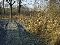 NL, Noord-Brabant, Waalre, De Elshouters 5, Saxifraga-Jan van der Straaten