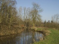 NL, Noord-Brabant, Waalre, De Elshouters, Dommel 4, Saxifraga-Jan van der Straaten