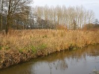 NL, Noord-Brabant, Waalre, Dommel in De Elshouters 1, Saxifraga-Tom Heijnen