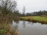 NL, Noord-Brabant, Waalre, Dommel in De Elshouters 6, Saxifraga-Tom Heijnen