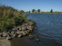 NL, Noord-Brabant, Waalwijk, Bergsche Maas 9, Saxifraga-Jan van der Straaten