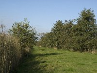 NL, Noord-Brabant, Waalwijk, Meerdijksche Driessen 14, Saxifraga-Jan van der Straaten