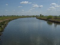 NL, Noord-Brabant, Waalwijk, Oude Maasje 3, Saxifraga-Marijke Verhagen