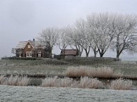 NL, Noord-Brabant, Waalwijk, near Waalwijk 4, Saxifraga-Tom Heijnen