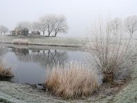 NL, Noord-Brabant, Waalwijk, near Waalwijk 5, Saxifraga-Tom Heijnen