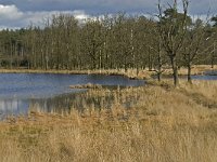 NL, Noord-Brabant, Woensdrecht, de Zoom, Bronven 1, Saxifraga-Jan van der Straaten