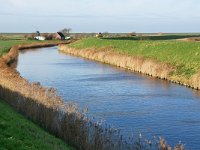 NL, Noord-Holland, Bergen, Hargervaart 1, Saxifraga-Tom Heijnen