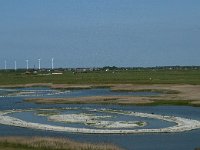 NL, Noord-Holland, Bergen, Schoorl, De Putten 1, Saxifraga-Jan van der Straaten