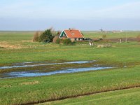 NL, Noord-Holland, Bergen, Vereenigde Harger- en Pettemerpolder 1, Saxifraga-Tom Heijnen