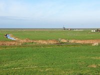 NL, Noord-Holland, Bergen, Vereenigde Harger- en Pettemerpolder 2, Saxifraga-Tom Heijnen