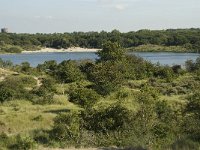 NL, Noord-Holland, Bloemendaal, Zuid Kennemerland 4, Saxifraga-Willem van Kruijsbergen