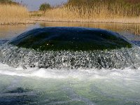 NL, Noord-Holland, Castricum 3, Foto Fitis-Sytske Dijksen