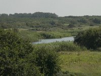 NL, Noord-Holland, Castricum, Noordhollands duinreservaat 17, Saxifraga-Willem van Kruijsbergen