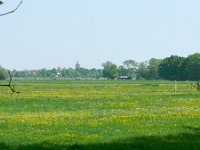 NL, Noord-Holland, Gooise Meren, Naardermeer 1, Saxifraga-Tom Heijnen