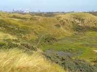 NL, Noord-Holland, Haarlem, Kennemerduinen 2, Foto Fitis-Sytske Dijksen