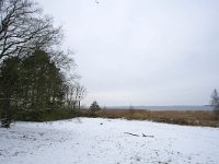 NL, Noord-Holland, Huizen, Eukenberg 3, Saxifraga-Bart Vastenhouw