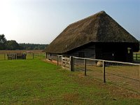 NL, Noord-Holland, Huizen, Tafelberg 8, Saxifraga-Hans Dekker