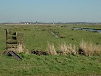 NL, Noord-Holland, Landsmeer, Ilperveld 2, Saxifraga-Jan van der Straaten