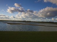 NL, Noord-Holland, Texel, De Cocksdorp 9, HVP, Saxifraga-Jan Nijendijk