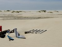 NL, Noord-Holland, Texel, De Hors 14, Saxifraga-Jan van der Straaten