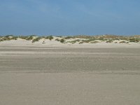 NL, Noord-Holland, Texel, De Hors 22, Saxifraga-Willem van Kruijsbergen