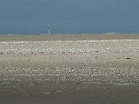 NL, Noord-Holland, Texel, De Hors 31, Saxifraga-Willem van Kruijsbergen