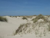 NL, Noord-Holland, Texel, De Hors 34, Saxifraga-Willem van Kruijsbergen