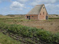 NL, Noord-Holland, Texel, De Muy 1, Saxifraga-Willem van Kruijsbergen