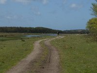 NL, Noord-Holland, Texel, De Muy 20, Saxifraga-Willem van Kruijsbergen