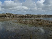 NL, Noord-Holland, Texel, De Muy 30, Saxifraga-Willem van Kruijsbergen