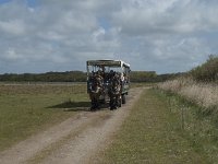 NL, Noord-Holland, Texel, De Muy 35, Saxifraga-Willem van Kruijsbergen