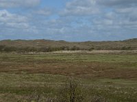 NL, Noord-Holland, Texel, De Muy 5, Saxifraga-Willem van Kruijsbergen