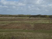 NL, Noord-Holland, Texel, De Muy 6, Saxifraga-Willem van Kruijsbergen