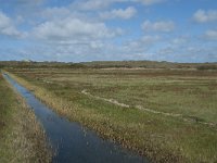 NL, Noord-Holland, Texel, De Muy 7, Saxifraga-Willem van Kruijsbergen