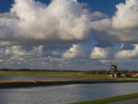 NL, Noord-Holland, Texel, De Noorden 2,  Saxifraga-Jan Nijendijk