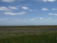 NL, Noord-Holland, Texel, De Schorren 1, Saxifraga-Jan van der Straaten