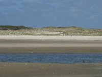 NL, Noord-Holland, Texel, De Slufter 59, Saxifraga-Willem van Kruijsbergen