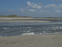 NL, Noord-Holland, Texel, De Slufter 75, Saxifraga-Willem van Kruijsbergen